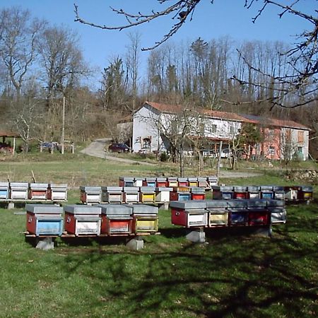 Agriturismo Ca Rossano Βίλα Licciana Nardi Εξωτερικό φωτογραφία