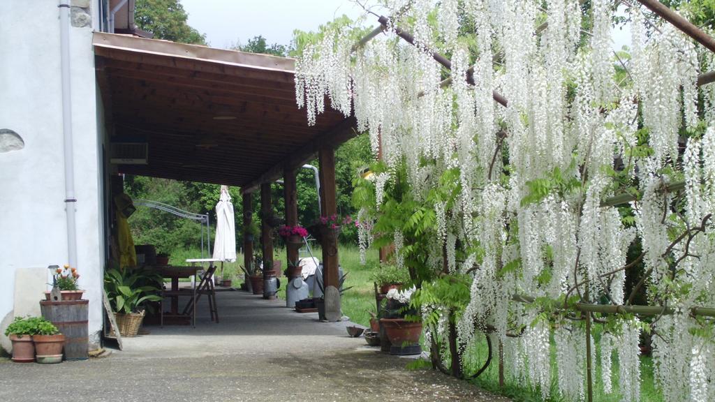 Agriturismo Ca Rossano Βίλα Licciana Nardi Εξωτερικό φωτογραφία